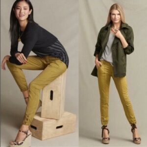 CAbi The Tracker Jogger Ankle Pants Marigold Yellow Size 6